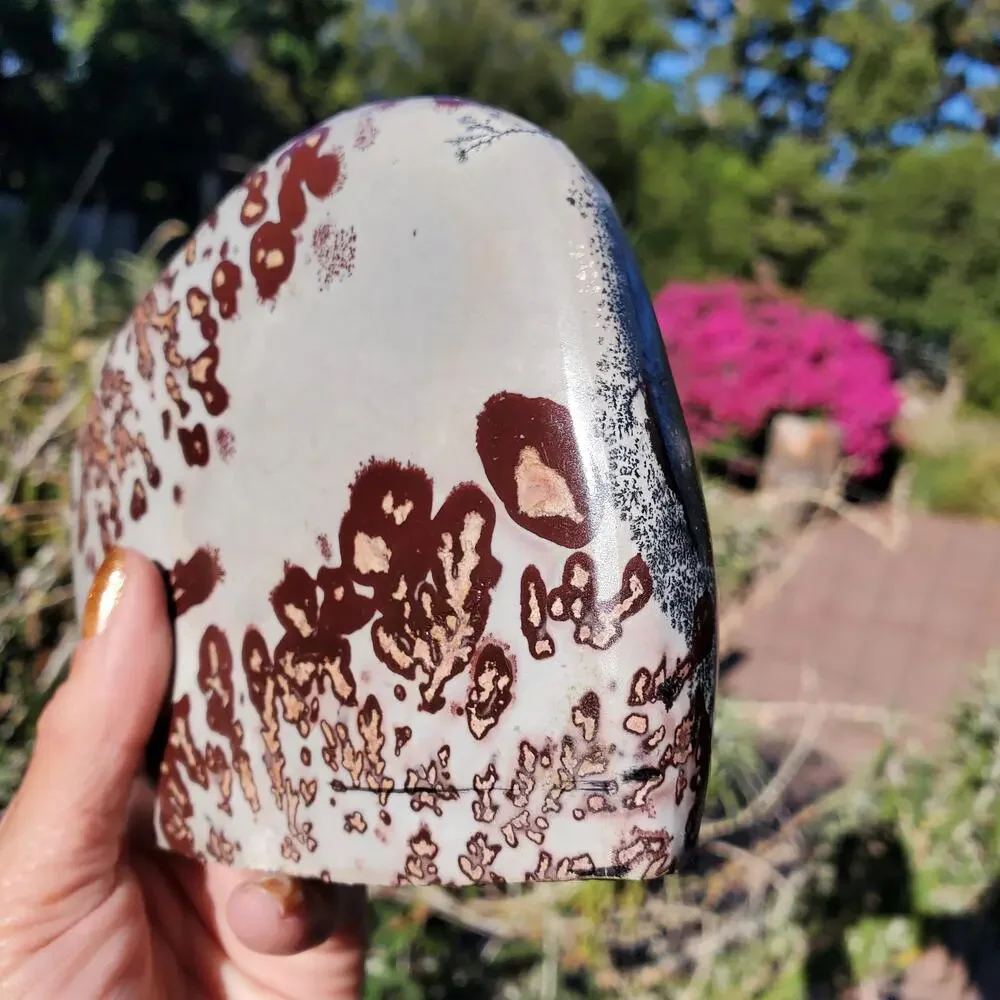 Picture Stone Jasper Dendritic Dendrite Display Freeform 706 Gram